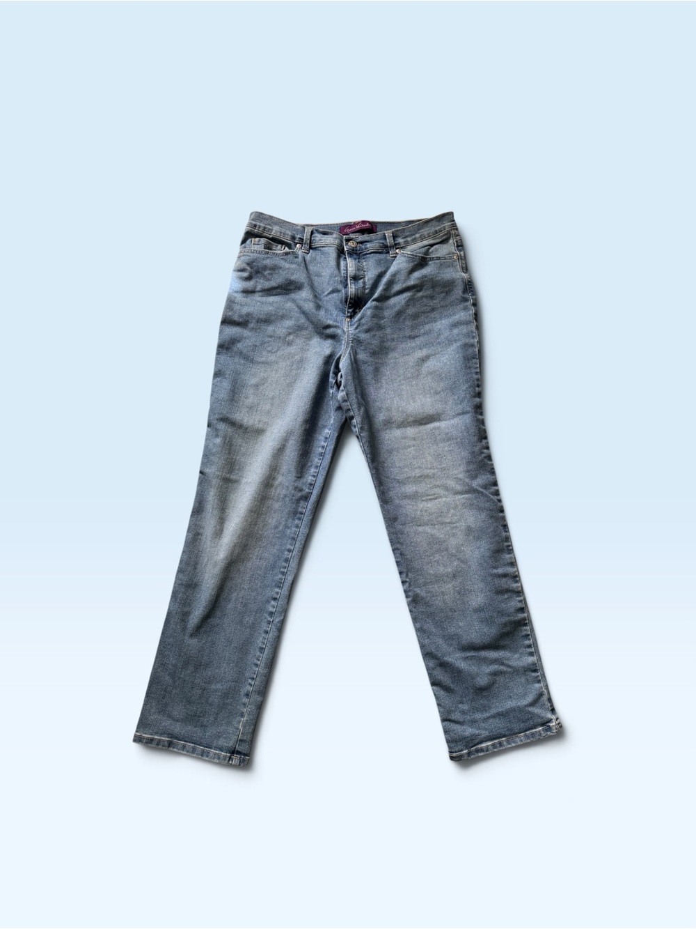 Gloria Vanderbilt Women’s Amanda Classic Straight  Jeans - Size 16
